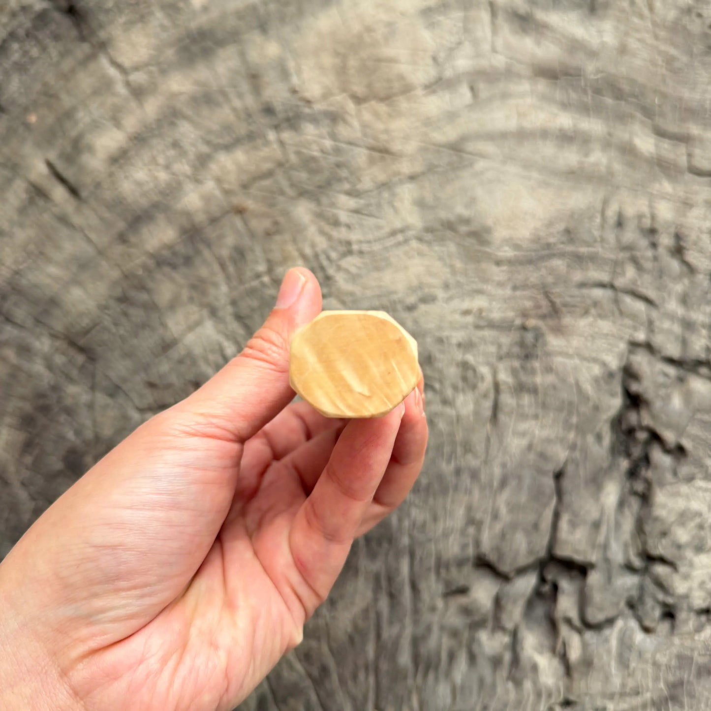 I - 5 Karelian birch Wa handle, Black horn Ferrule - 145 mm