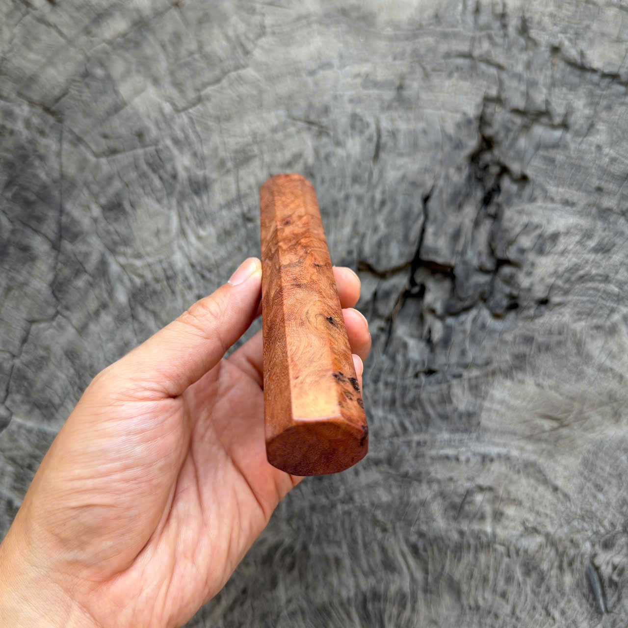 I -8 Laos Ironwood Burl Wa handle, Mono, 140mm handle