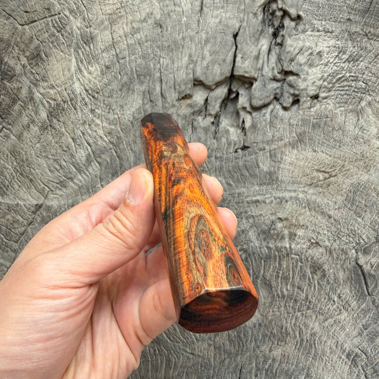 I - 31 Curly Siamese Rosewood Wa handle, Mono- 130mm