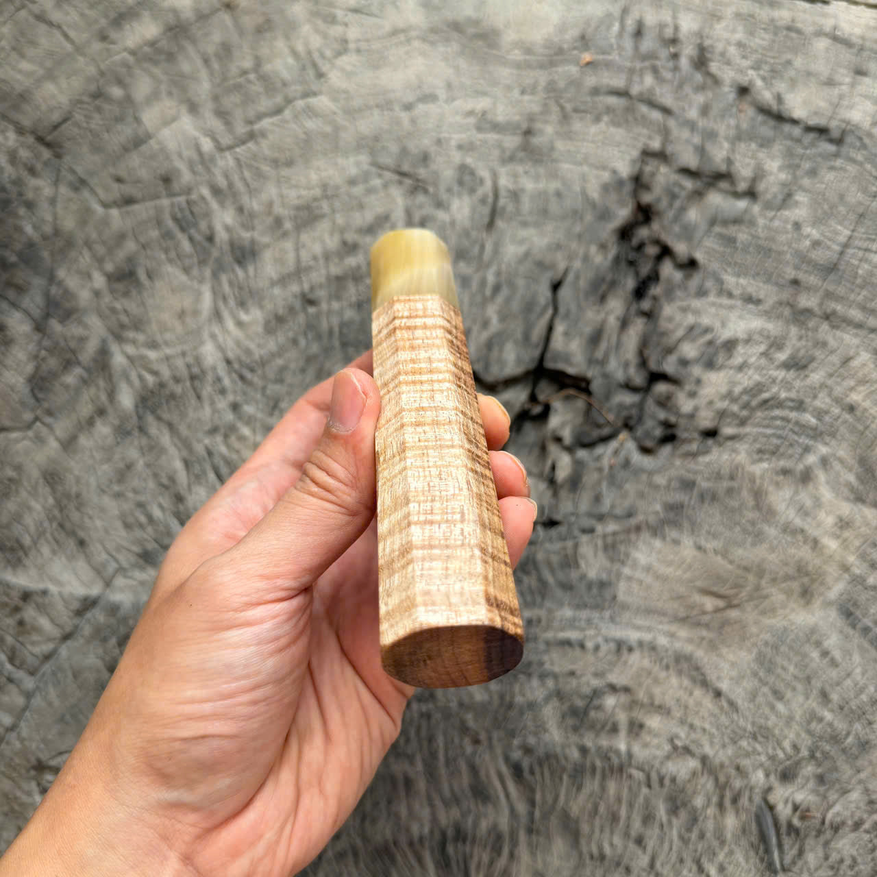 I - 5 Two tone Curly Hawaiian Koa, Clean Cream horn ferrule, 145 mm handle