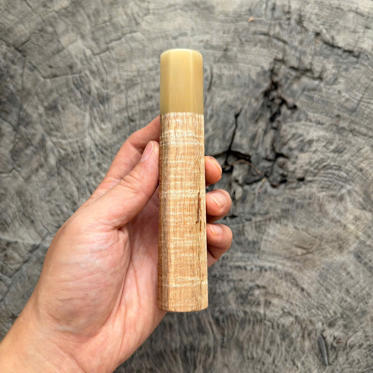 I - 5 Two tone Curly Hawaiian Koa, Clean Cream horn ferrule, 145 mm handle