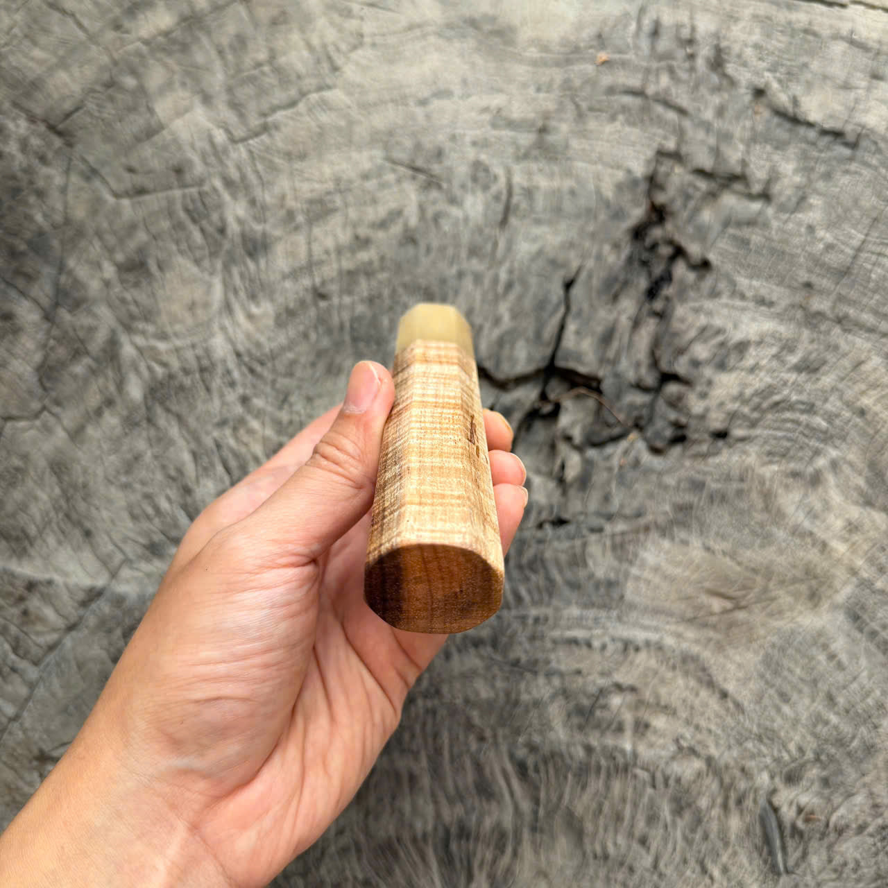 I - 5 Two tone Curly Hawaiian Koa, Clean Cream horn ferrule, 145 mm handle
