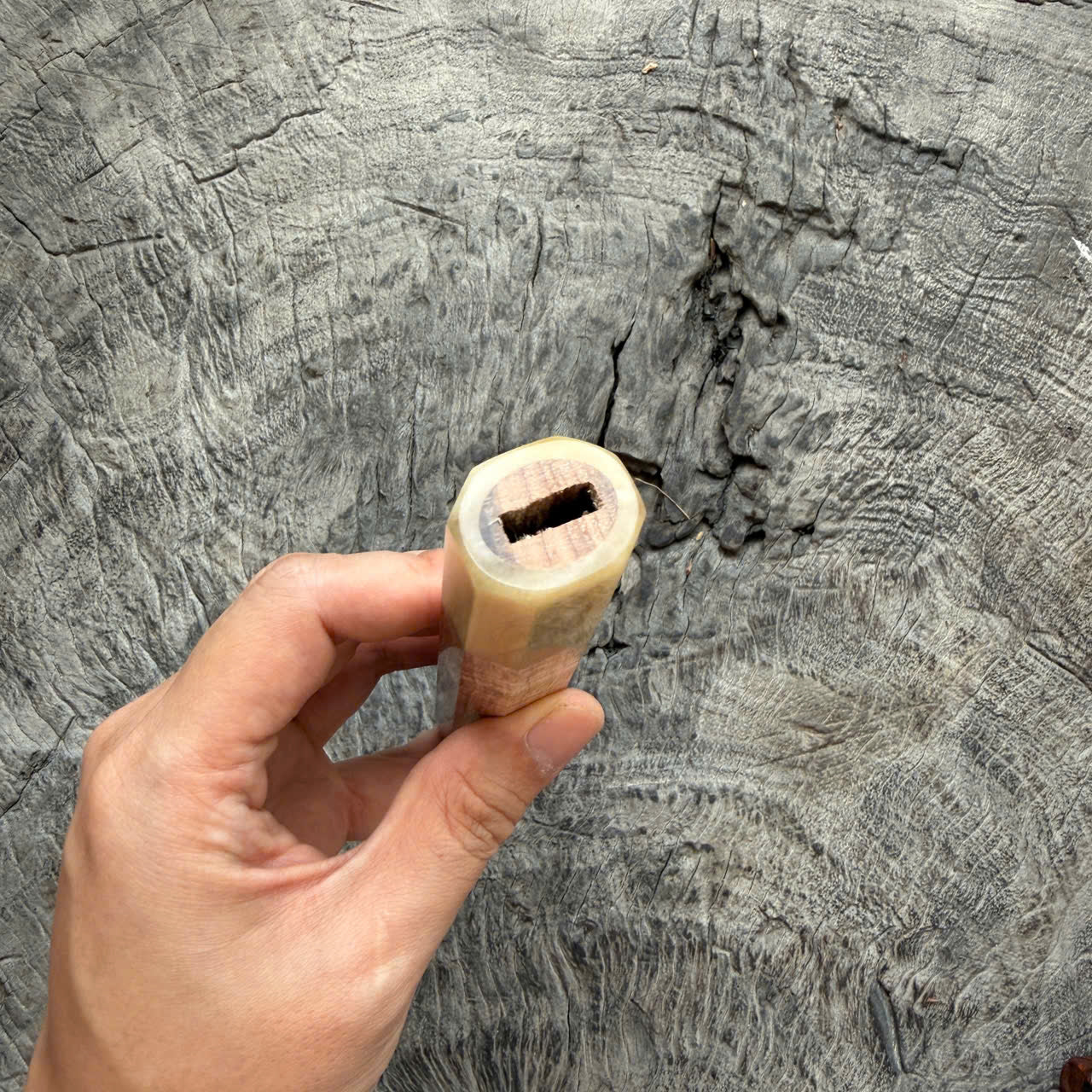 I - 5 Two tone Curly Hawaiian Koa, Clean Cream horn ferrule, 145 mm handle