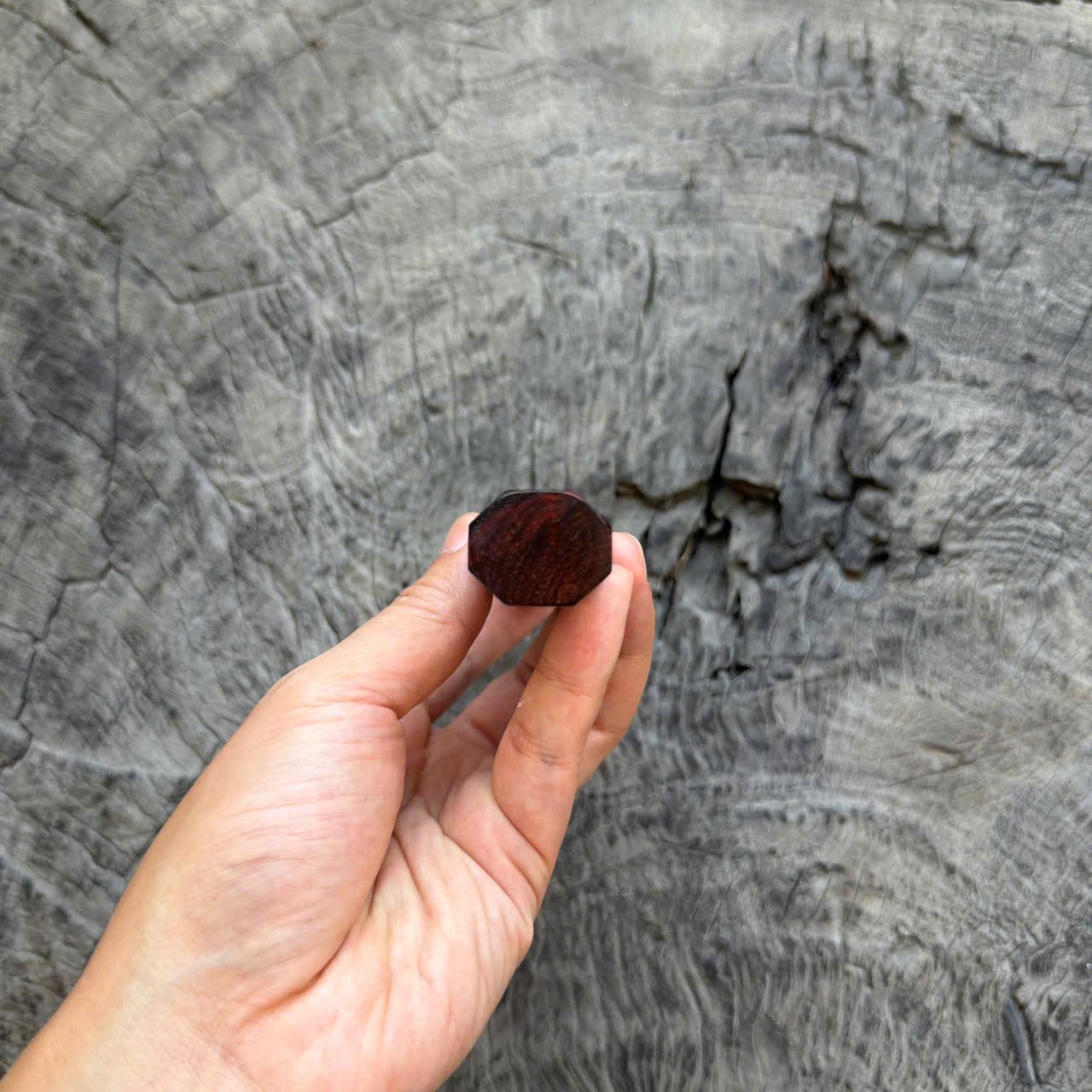 I- Curly Black Red Siamese Rosewood Wa handle, Marble horn ferrule, 135mm handle