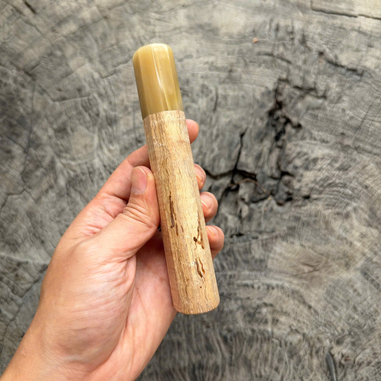 I - 5 Two tone Curly Hawaiian Koa, Clean Cream horn ferrule, 145 mm handle