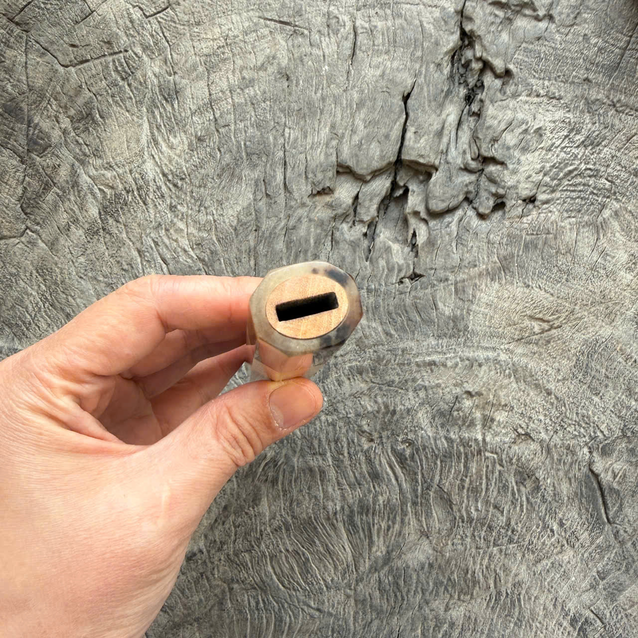 I - 2 Full Curly Mango wood Wa handle - Marble horn ferrule - 140 mm
