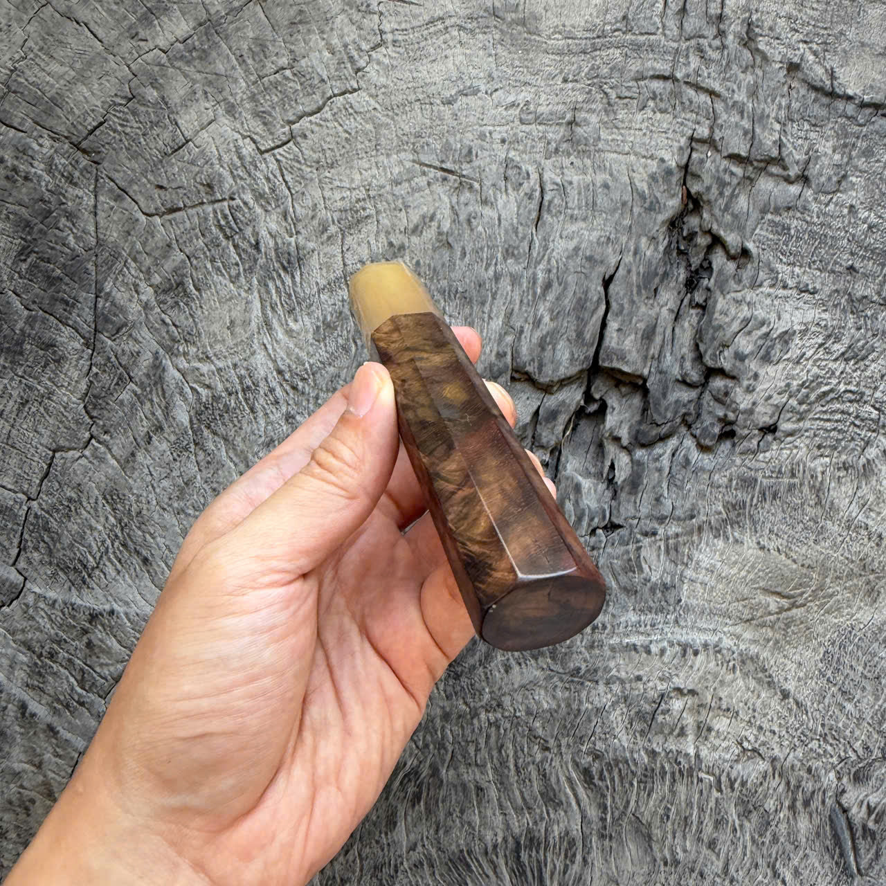 I- Cool Peacock-tail Curly Siamese Rosewood Wa handle, White horn Ferrule, 135mm handle