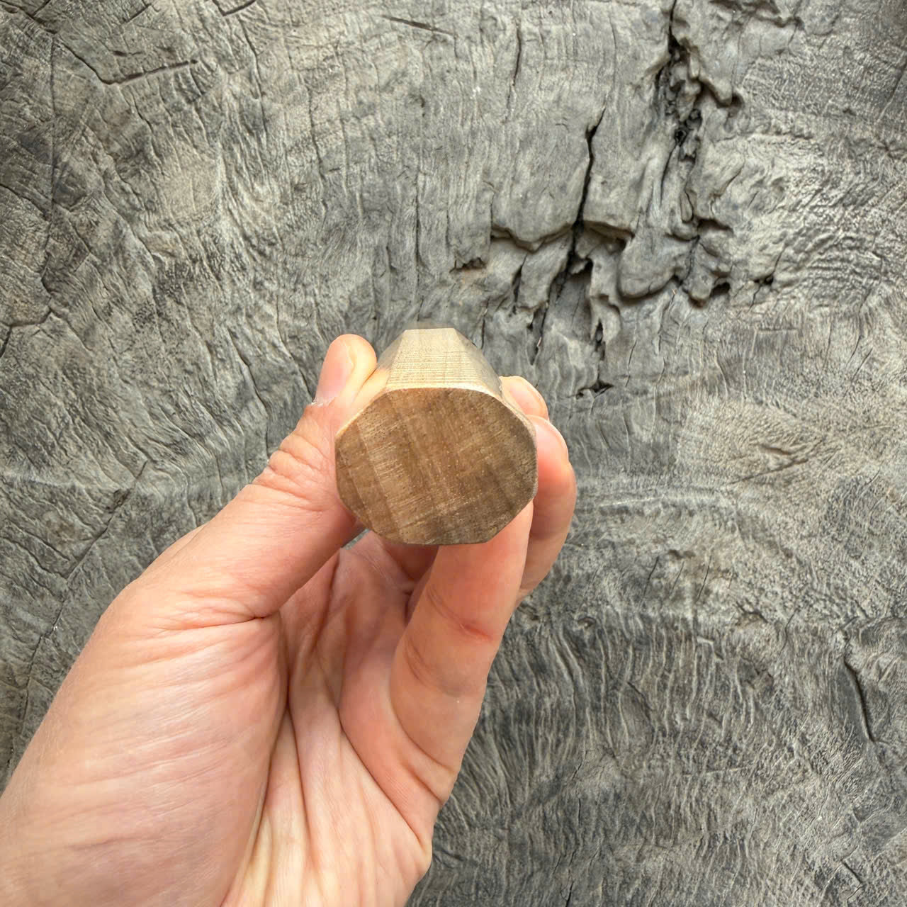 I - 2 Full Curly Mango wood Wa handle - Marble horn ferrule - 140 mm