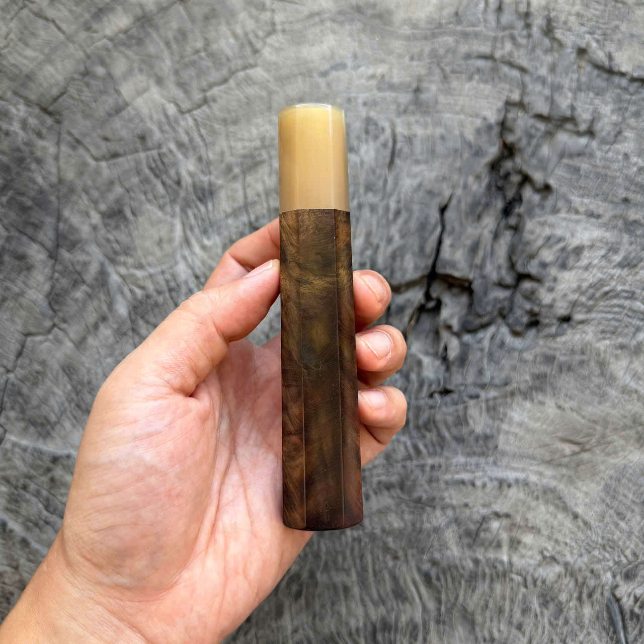 I- Cool Peacock-tail Curly Siamese Rosewood Wa handle, White horn Ferrule, 135mm handle