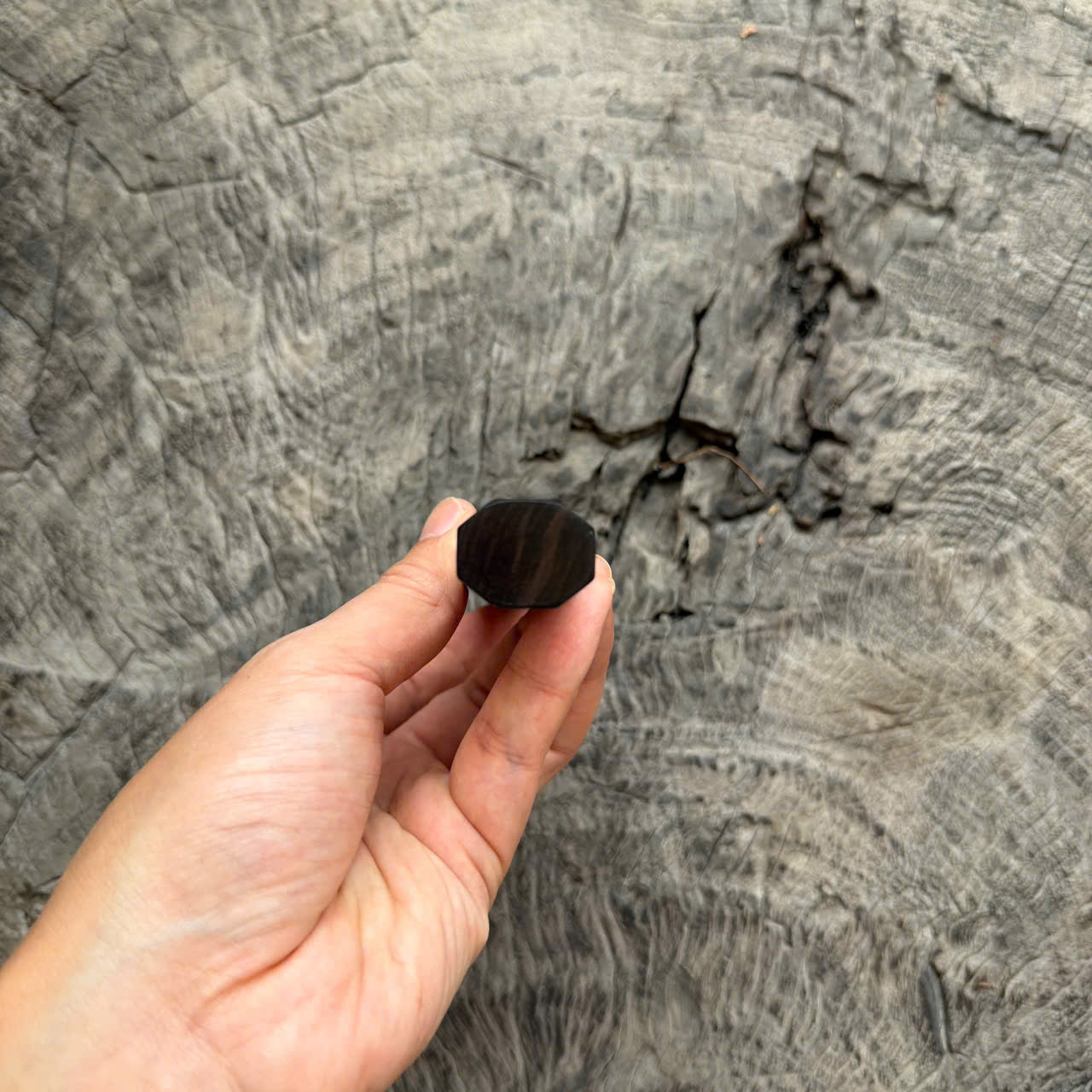 I - 5 Macassar Ebony Wa handle, Marble horn ferrule, 125mm for petty
