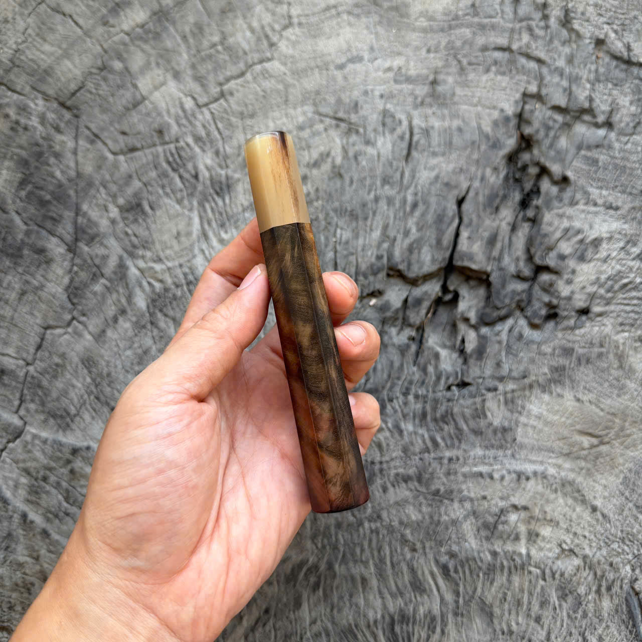I- Cool Peacock-tail Curly Siamese Rosewood Wa handle, White horn Ferrule, 135mm handle