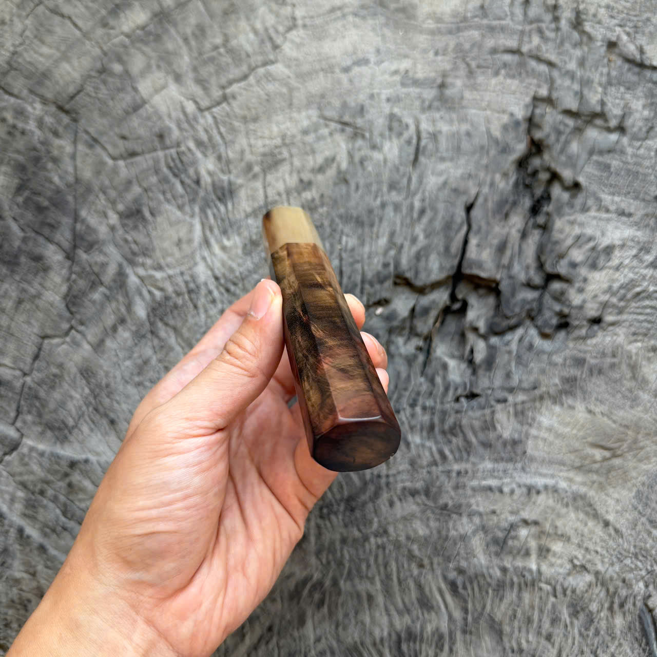 I- Cool Peacock-tail Curly Siamese Rosewood Wa handle, White horn Ferrule, 135mm handle