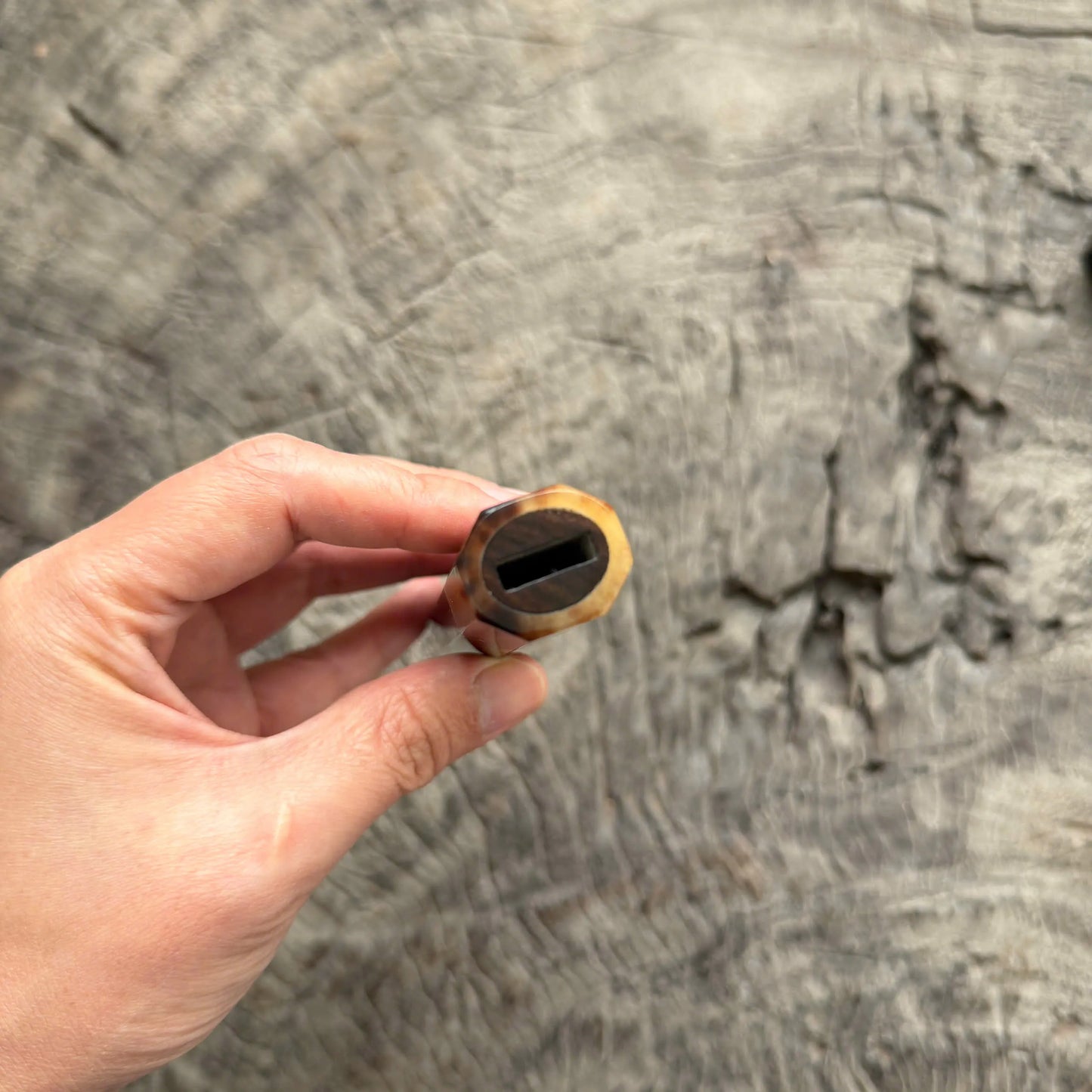 I - 10 Nice Curly Siamese Rosewood Wa handle, Marble horn Ferrule and Endcap - 145 mm