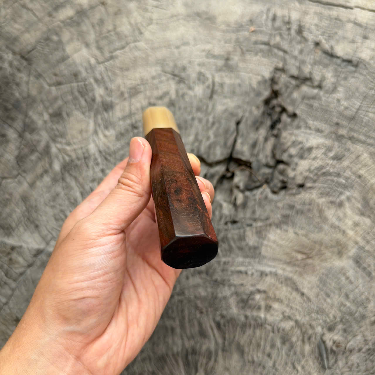 I- 7 Siamese Rosewood Burl Wa handle, White horn ferrule, 135mm handle