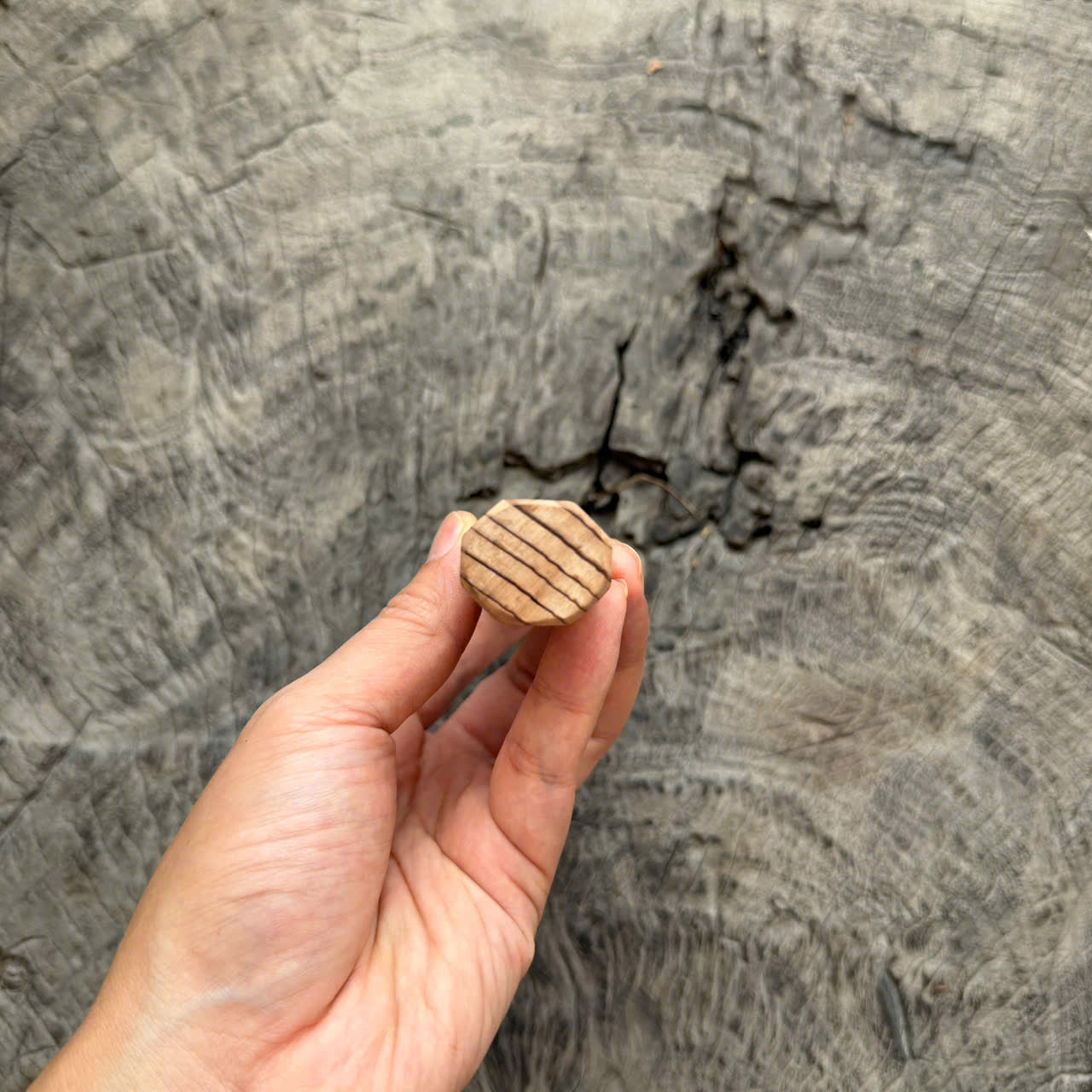 I - 10 Japanese Cedar Wa handle,  Marble Horn Ferrule, 140mm handle