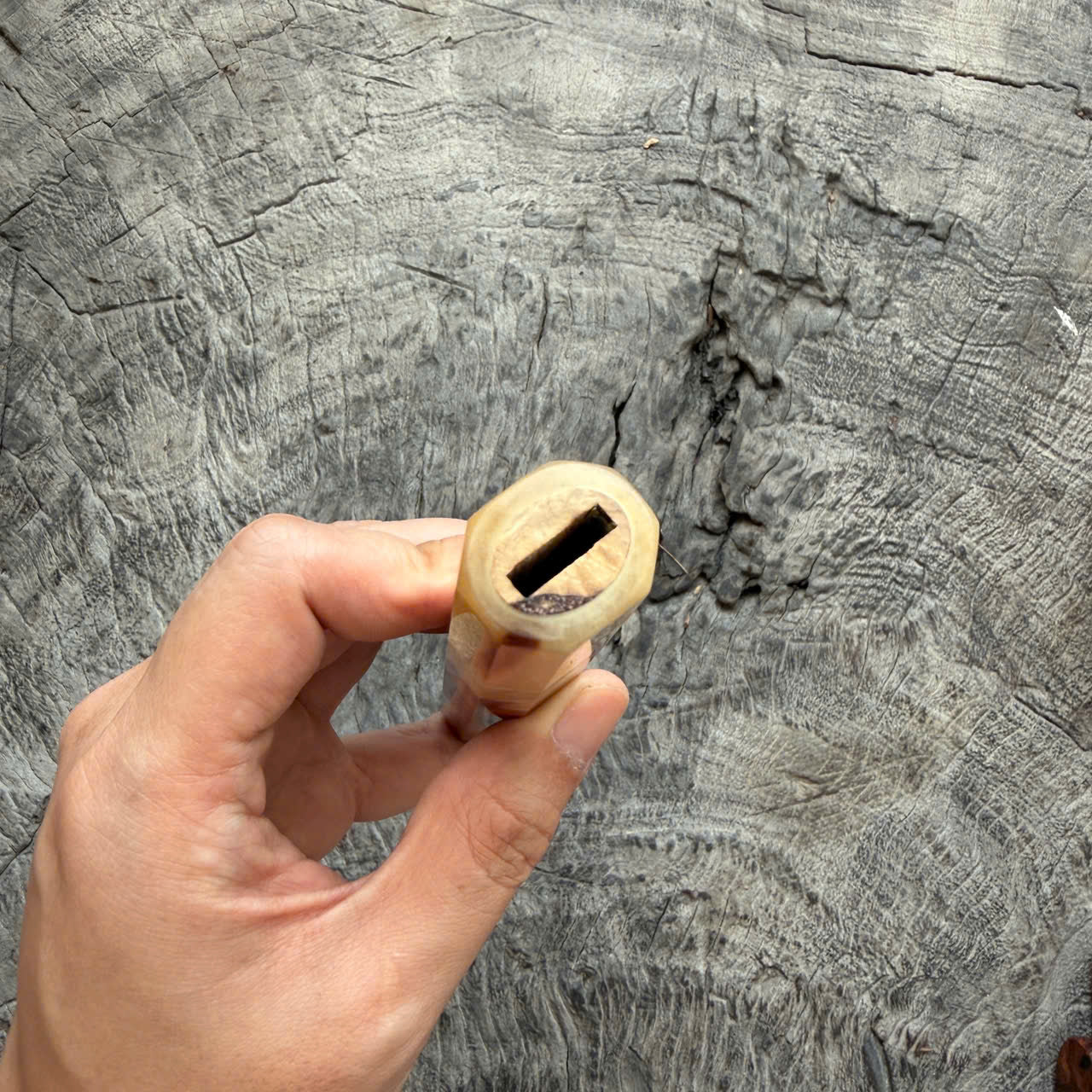 I- 6 Two tone Amboyna Burl Wa handle, White horn ferrule, 135mm handle