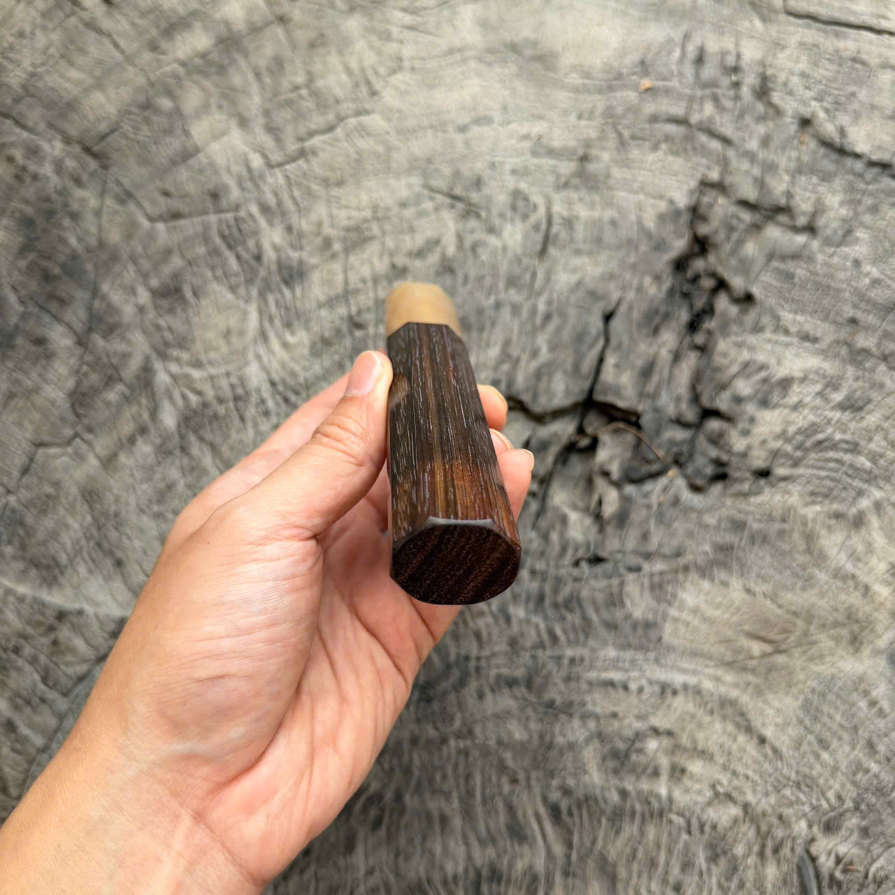 I - 41 Siamese Rosewood Wa handle, White horn Ferrule, 140mm handle