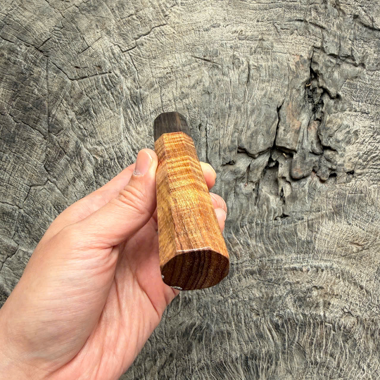 I- 2 Two tone Curly Hawaiian Koa, Wa handle, Dark Marble horn Ferrule, 135mm handle