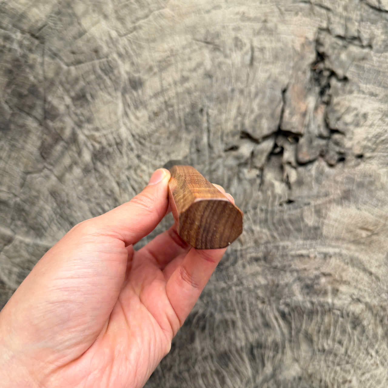 I- 2 Two tone Curly Hawaiian Koa, Wa handle, Dark Marble horn Ferrule, 135mm handle