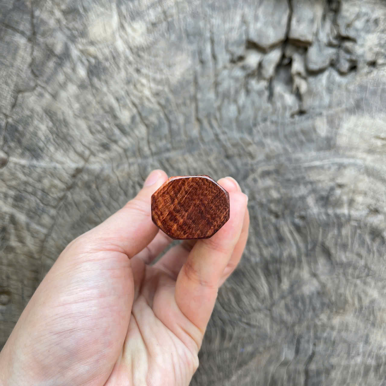 I - 6 Burl Rosewood Wa handle,  Mono - 140mm