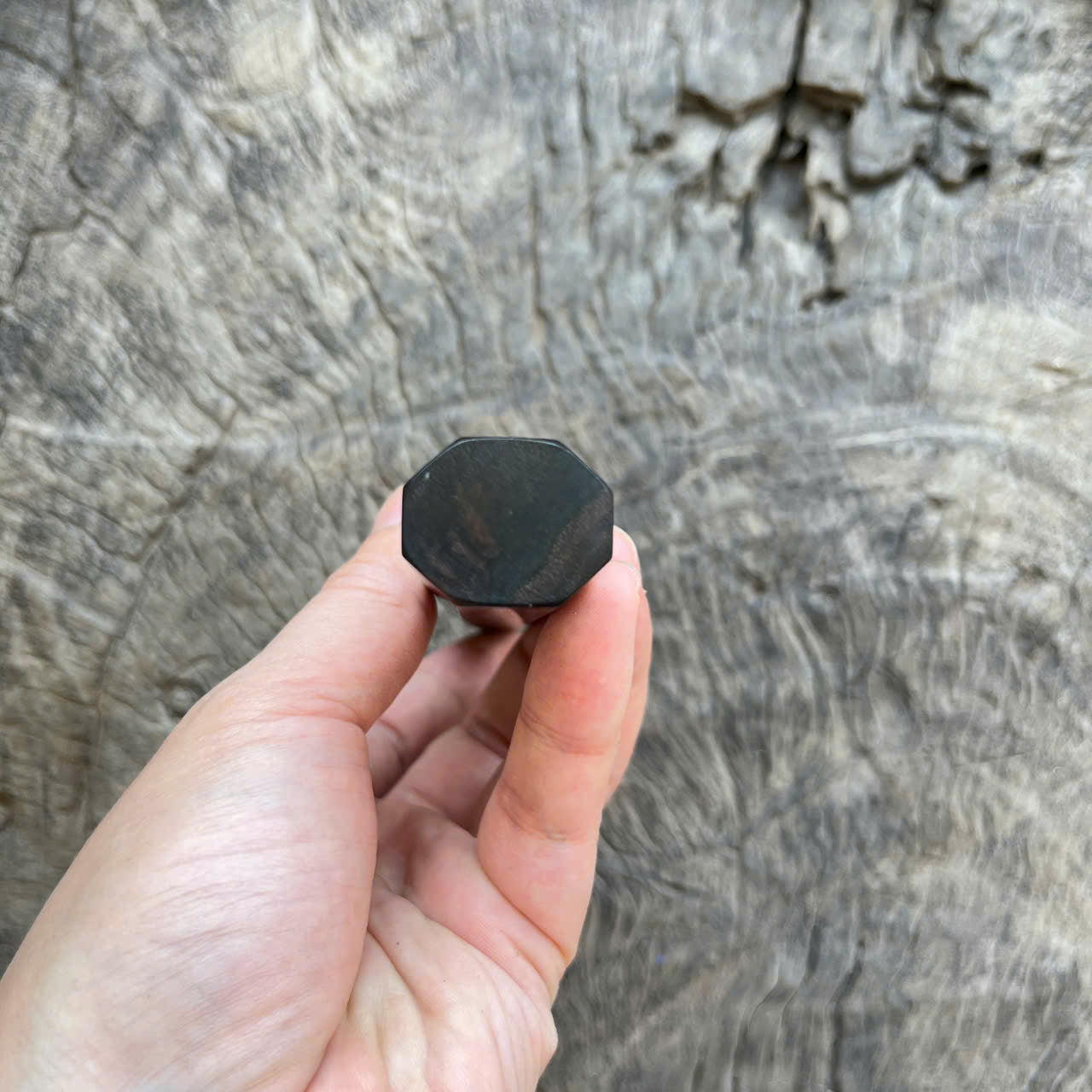 I- 7 Ebony Wa handle, Black horn ferrule, 135 mm