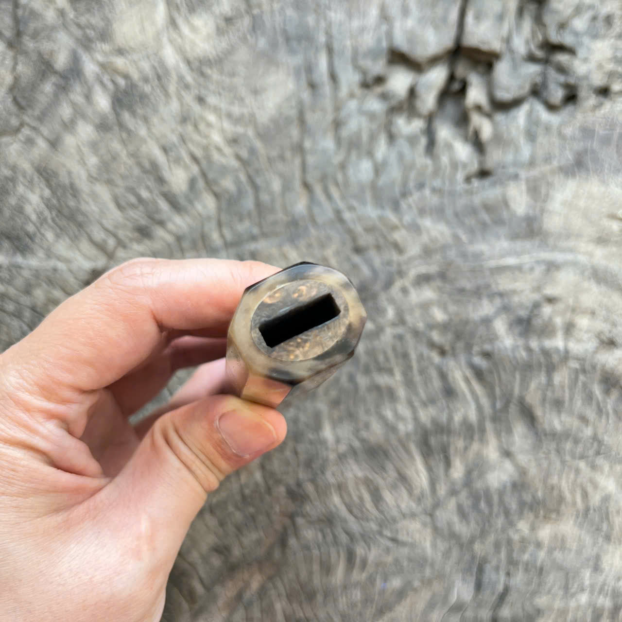 I -6 Burl Ebony Wa handle, Marble horn ferrule and end cap- 145 mm