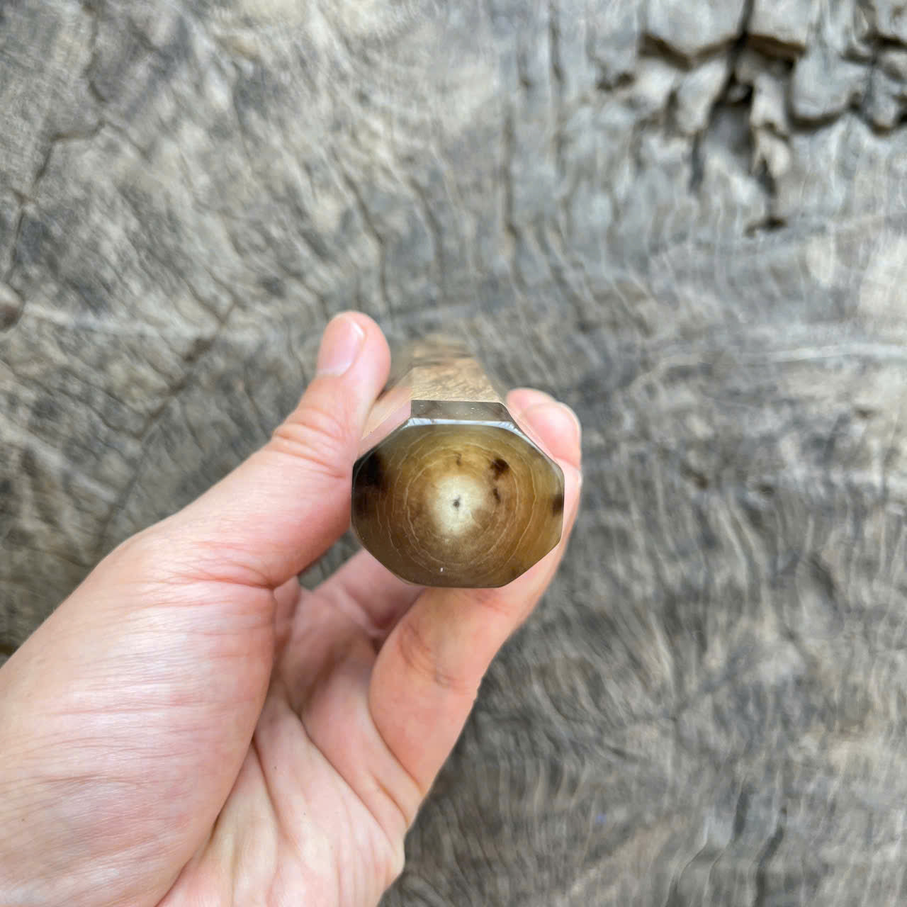 I -6 Burl Ebony Wa handle, Marble horn ferrule and end cap- 145 mm