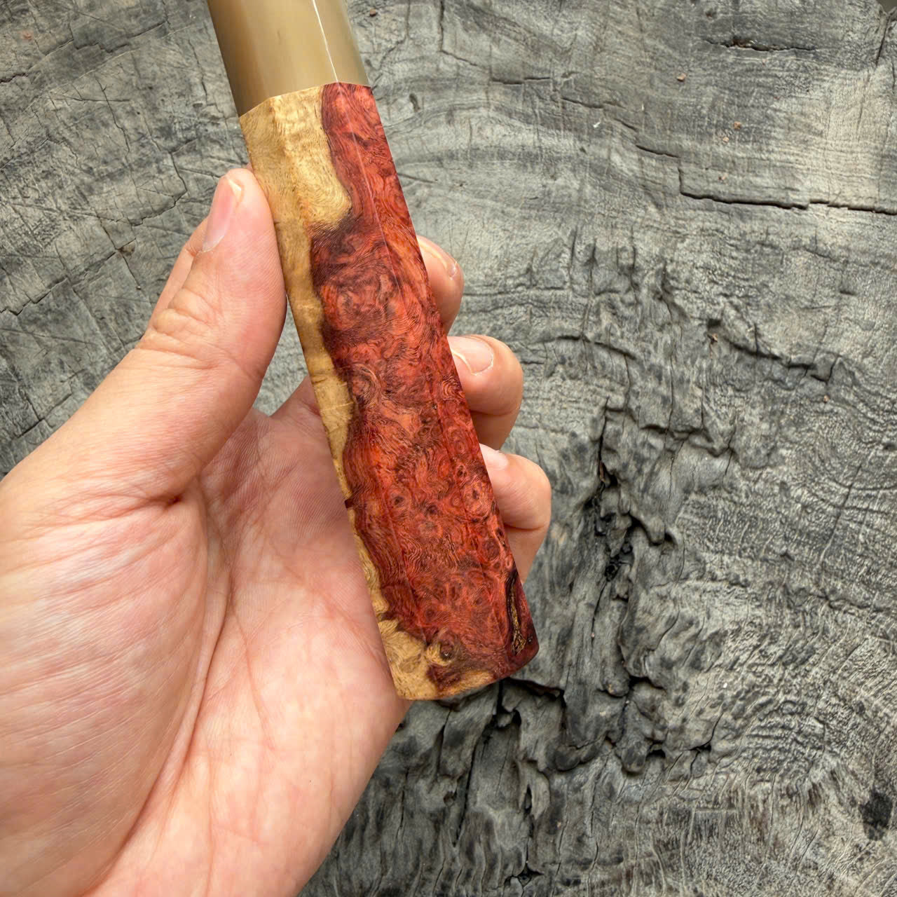 I- 10 Two tone Amboyna Burl Wa Handle, White Horn  Ferrule, 135mm handle