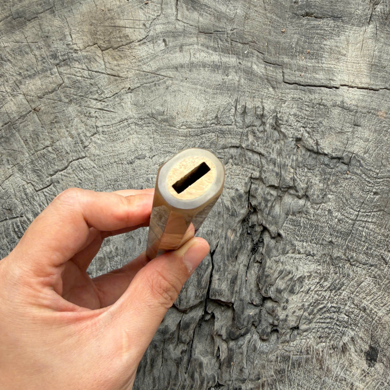 I- 10 Two tone Amboyna Burl Wa Handle, White Horn  Ferrule, 135mm handle