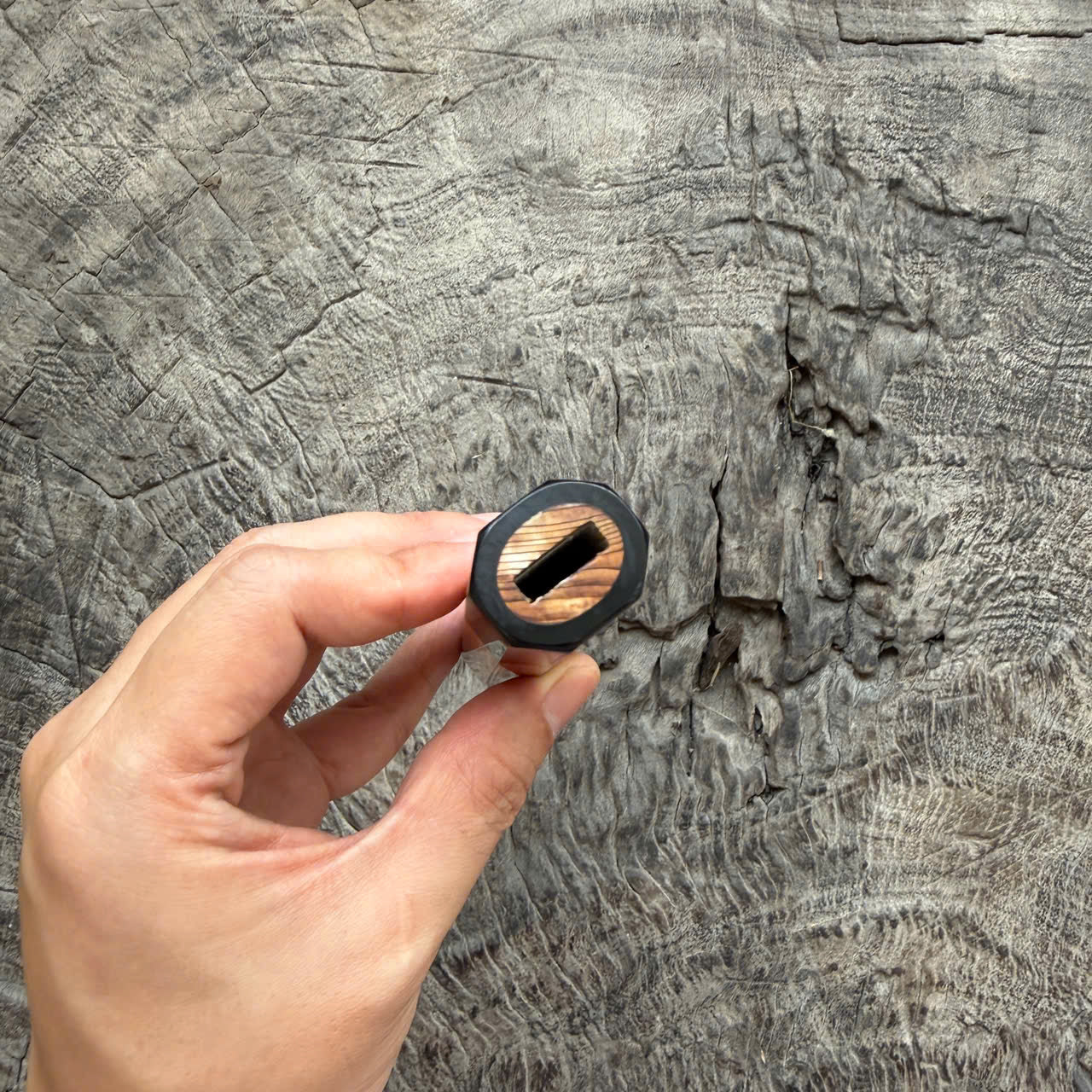 I - 4 Two tone Japanese Tamamoku Cedar, black horn ferrule, 145 mm handle