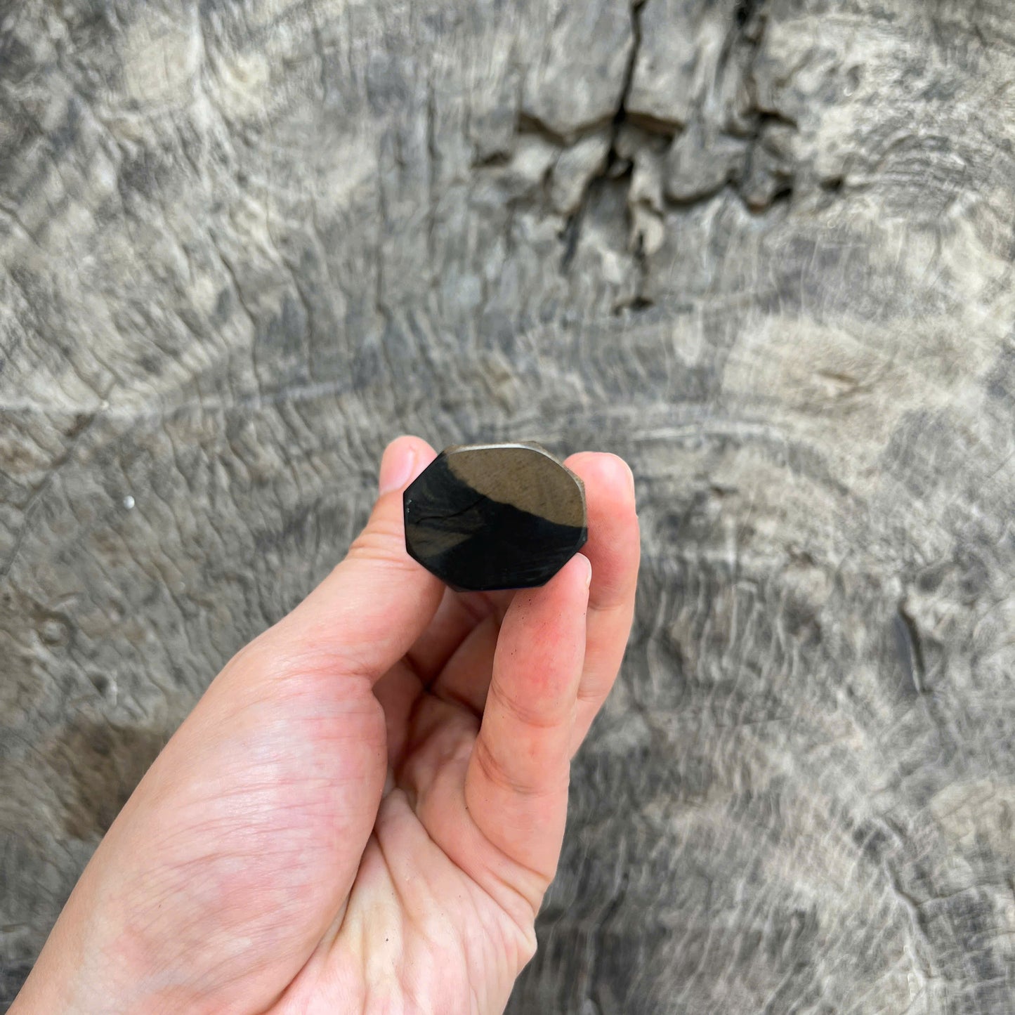I- 11 Two Tone Ebony Wa handle, Mono- 135mm