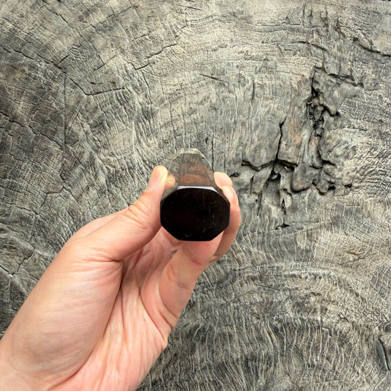 I - Super Rare Burl Siamese Rosewood handle, Cream horn ferrule, 140mm